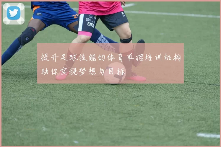 提升足球技能的体育单招培训机构助你实现梦想与目标